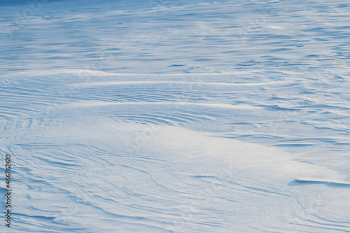 Snowy background, snow-covered wavy surface of the earth after a blizzard in the morning in the sunlight