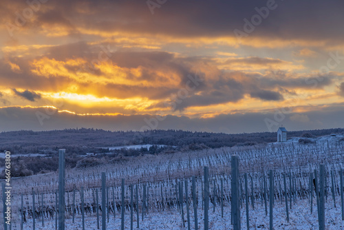 Calvary near Hnanice  Znojmo region  Southern Moravia  Czech Republic