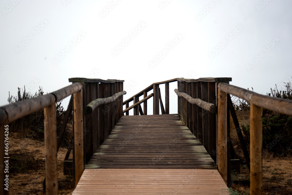 wooden walkway between the pines to reach the beach
