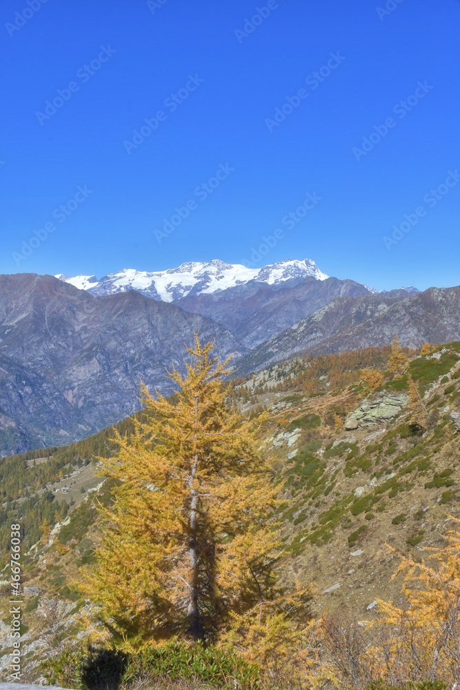 Monte Rosa seen from the top of the Gressoney valley Monte Rosa seen from the top of the Gressoney valley