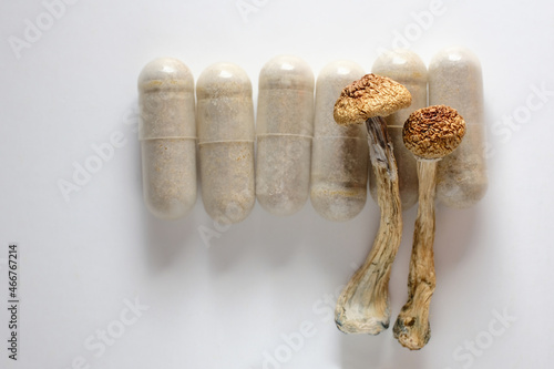 Micro dosing concept. Dry psilocybin mushrooms and natural herbal pills on white background. Psychedelic magic mushroom as medical supplement.