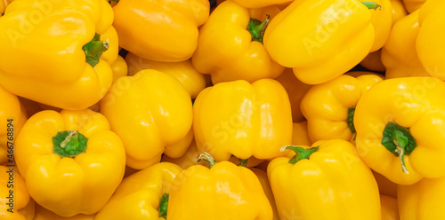 A lot of yellow pepper, texture background. Pile of fresh ripe yellow bell pepper pattern, high quality photo