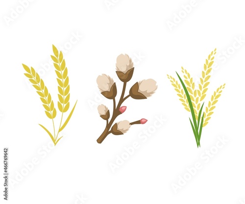 Wheat, rice and cotton plant logo. wheat, rice and cotton seeds icon. vector of wheat, rice and cotton plants. Vector design illustration.