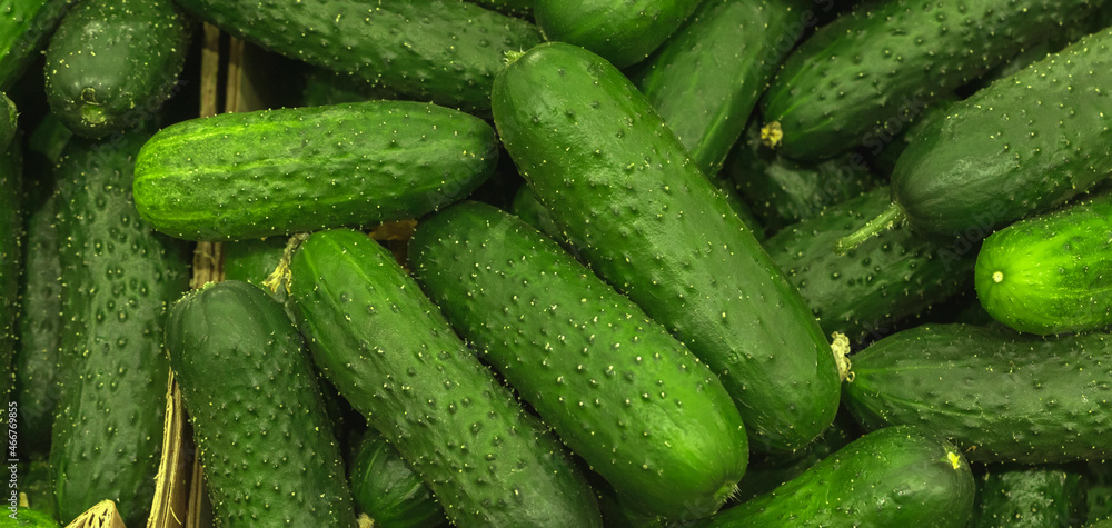 Fresh green cucumber texture or pattern, high quality. Healthy food concept photo Fresh green cucumber texture or pattern, high quality. Healthy food concept photo
