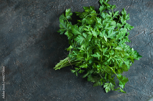 Bunch of raw green parsley on black concrete background, top view with copy space