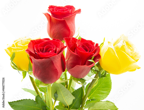Bouquet roses