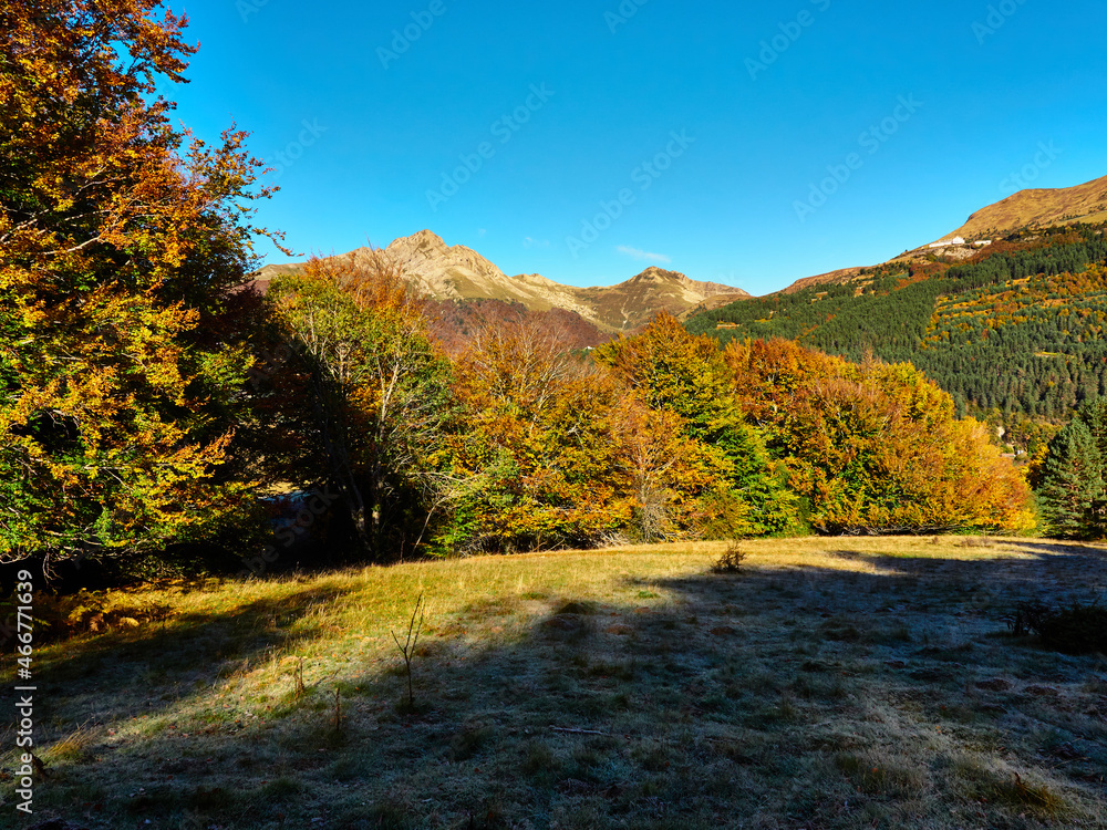 Fototapeta premium Selva Irati en Otoño