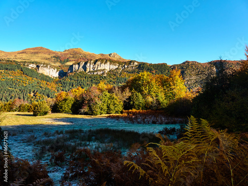 Selva Irati en Otoño