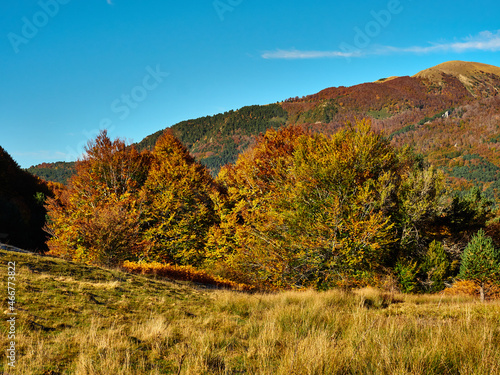 Fototapeta Naklejka Na Ścianę i Meble -  Selva de Irati en otoño con vista al monte  Lakartxela