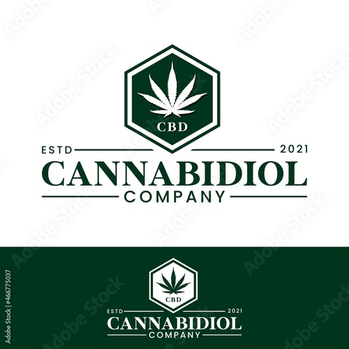 Marijuana Cannabidiol Cannabis Hemp Pot Leaf THC CBD logo design