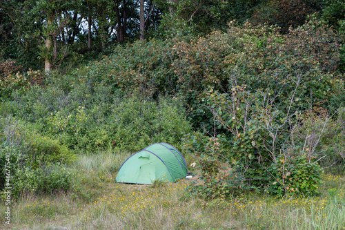 Camping in the forest near Rerik  Germany