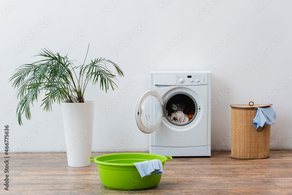 washing machine, laundry basket, bowl and green plant near white wall. washing machine, laundry basket, bowl and green plant near white wall.