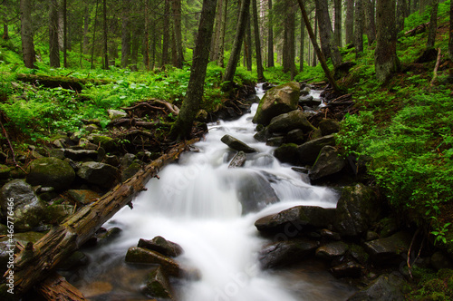River in the woods