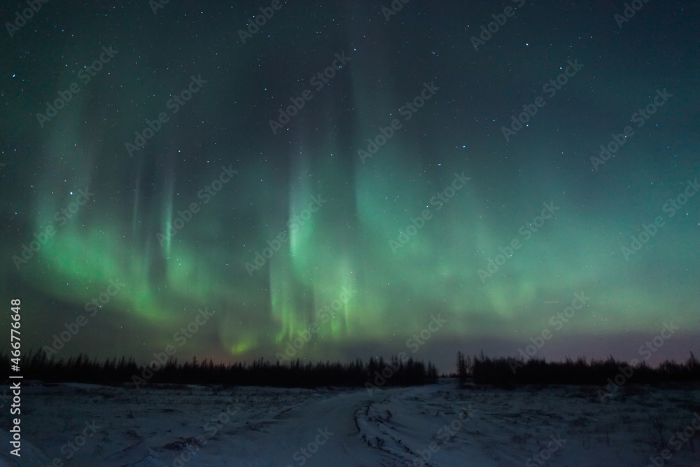 Northern lights (Aurora borealis)