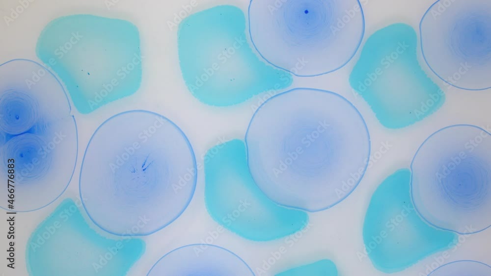 Abstract liquid effect. The blue balls grow and spread on a white background in water. Ink in liquid. Close-up. Floating particles. Abstract liquid effect. The blue balls grow and spread on a white background in water. Ink in liquid. Close-up. Floating particles.