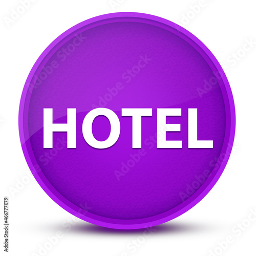 Hotel luxurious glossy purple round button abstract photo