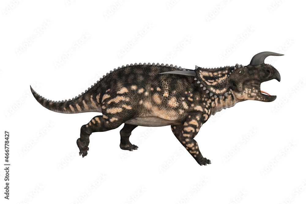 Einiosaurus in different angles and poses rendered on white background, 3D rendering illustration. Einiosaurus in different angles and poses rendered on white background, 3D rendering illustration.
