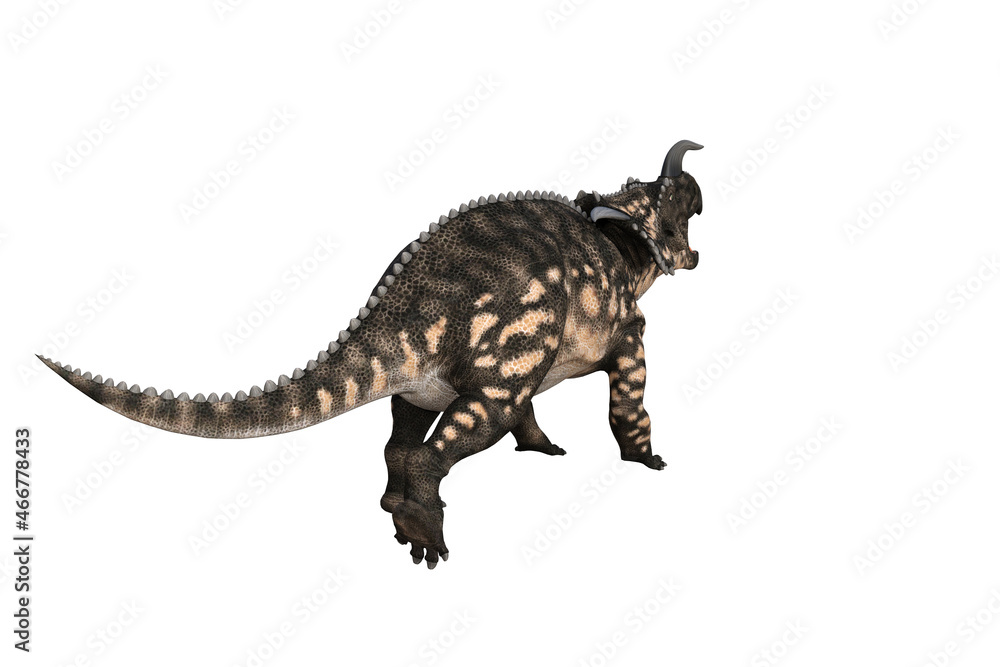 Naklejka premium Einiosaurus in different angles and poses rendered on white background, 3D rendering illustration.