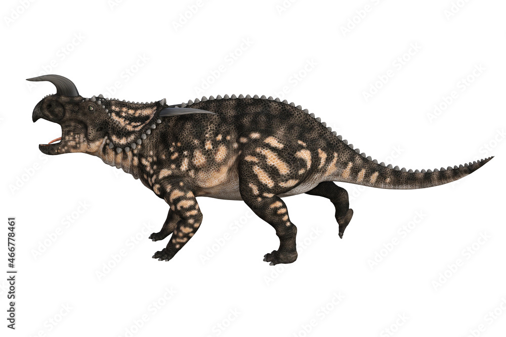 Naklejka premium Einiosaurus in different angles and poses rendered on white background, 3D rendering illustration.