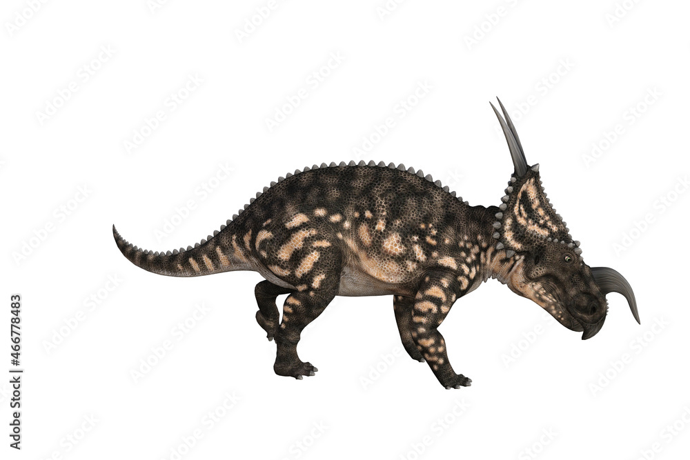 Einiosaurus in different angles and poses rendered on white background, 3D rendering illustration. Einiosaurus in different angles and poses rendered on white background, 3D rendering illustration.