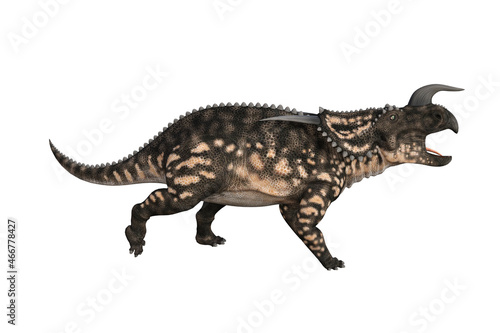 Einiosaurus in different angles and poses rendered on white background  3D rendering illustration.