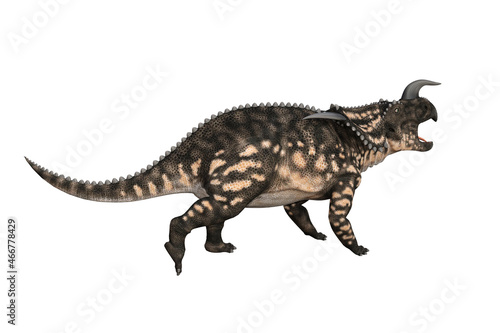 Einiosaurus in different angles and poses rendered on white background, 3D rendering illustration. © W.S. Coda