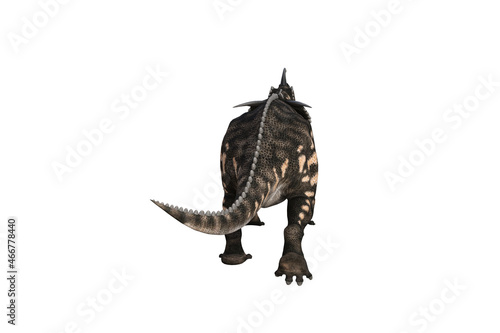 Einiosaurus in different angles and poses rendered on white background, 3D rendering illustration.