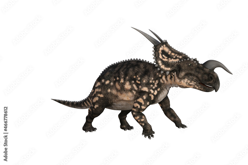 Einiosaurus in different angles and poses rendered on white background, 3D rendering illustration. Einiosaurus in different angles and poses rendered on white background, 3D rendering illustration.