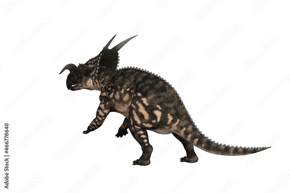 Fototapeta premium Einiosaurus in different angles and poses rendered on white background, 3D rendering illustration.