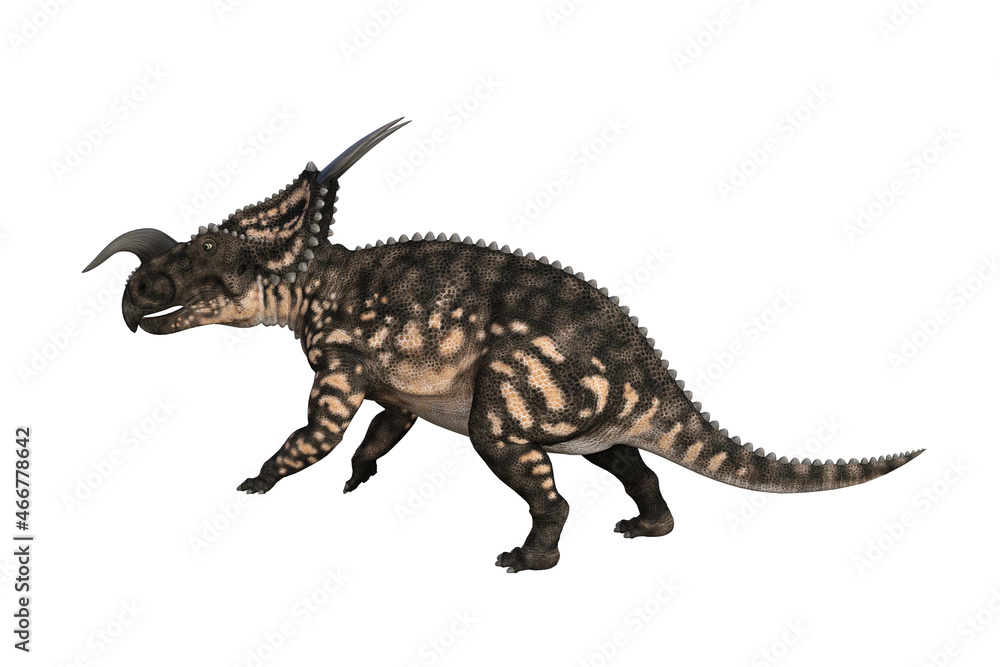 Einiosaurus in different angles and poses rendered on white background, 3D rendering illustration. Einiosaurus in different angles and poses rendered on white background, 3D rendering illustration.