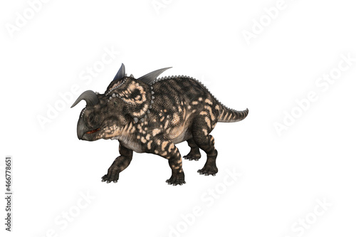 Einiosaurus in different angles and poses rendered on white background  3D rendering illustration.