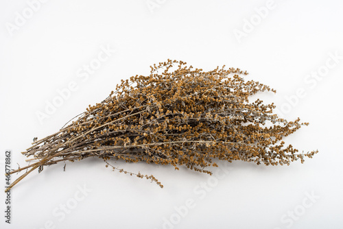 Dried Wormwood herb, Artemisia absinthium, isolated on white background. photo