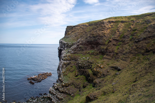 Landscape of birds nesting on grassy cliffs on the coast of Grimsey Island Iceland