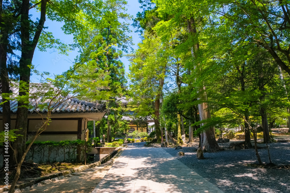 京都市 南禅寺 水路閣前の庭園 京都市 南禅寺 水路閣前の庭園