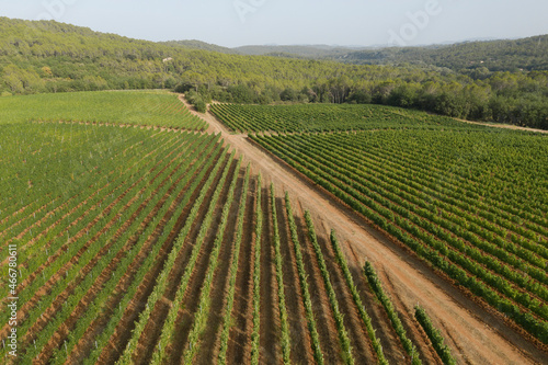 Aerial view of vineyard in countryside near Lorgues township, France. photo