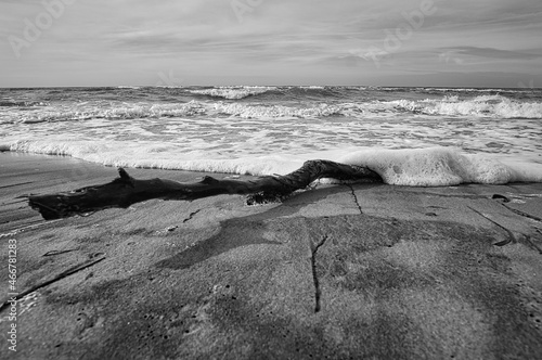 Fototapeta Naklejka Na Ścianę i Meble -  west beach on the baltic sea depicted in black and white