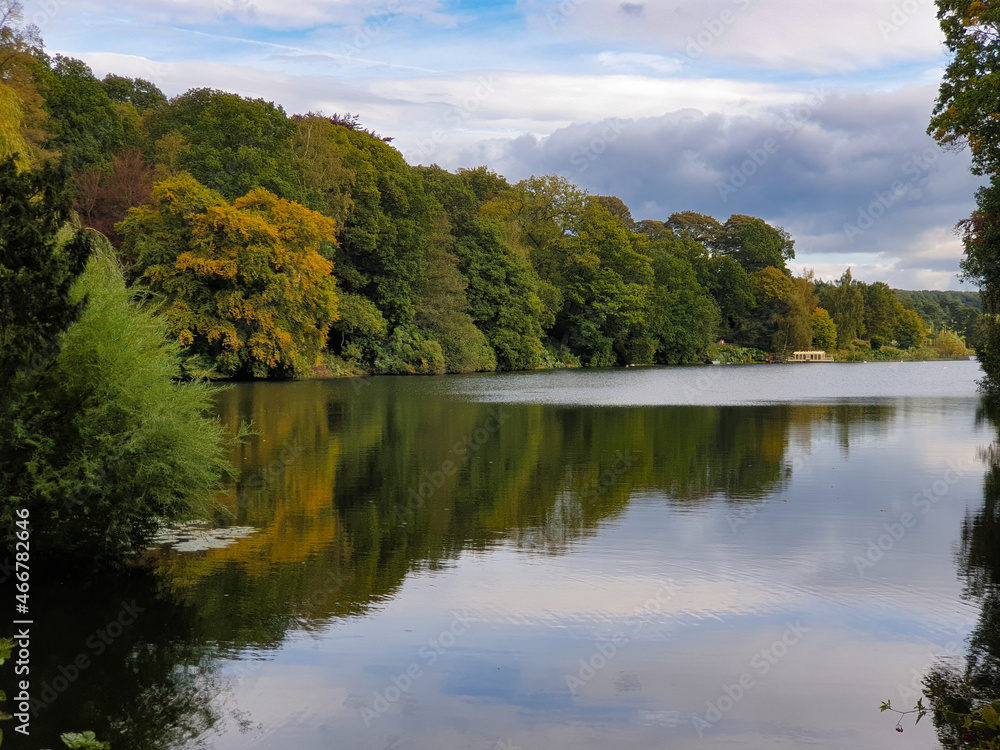 Beautiful autumn landscape of trees foliage and a Pond in West Yorkshire outside Leeds, England Beautiful autumn landscape of trees foliage and a Pond in West Yorkshire outside Leeds, England