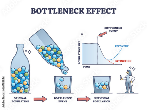 Bottleneck effect axis scheme on genetic drift and population outline diagram. Labeled graphic with time and species variation reduction after disaster event vector illustration. Nature change process