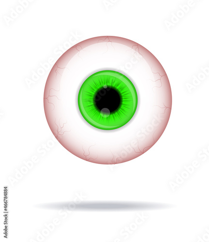 WebRealistic human eyeball. Eyeball with green iris photo realistic vector illustration.