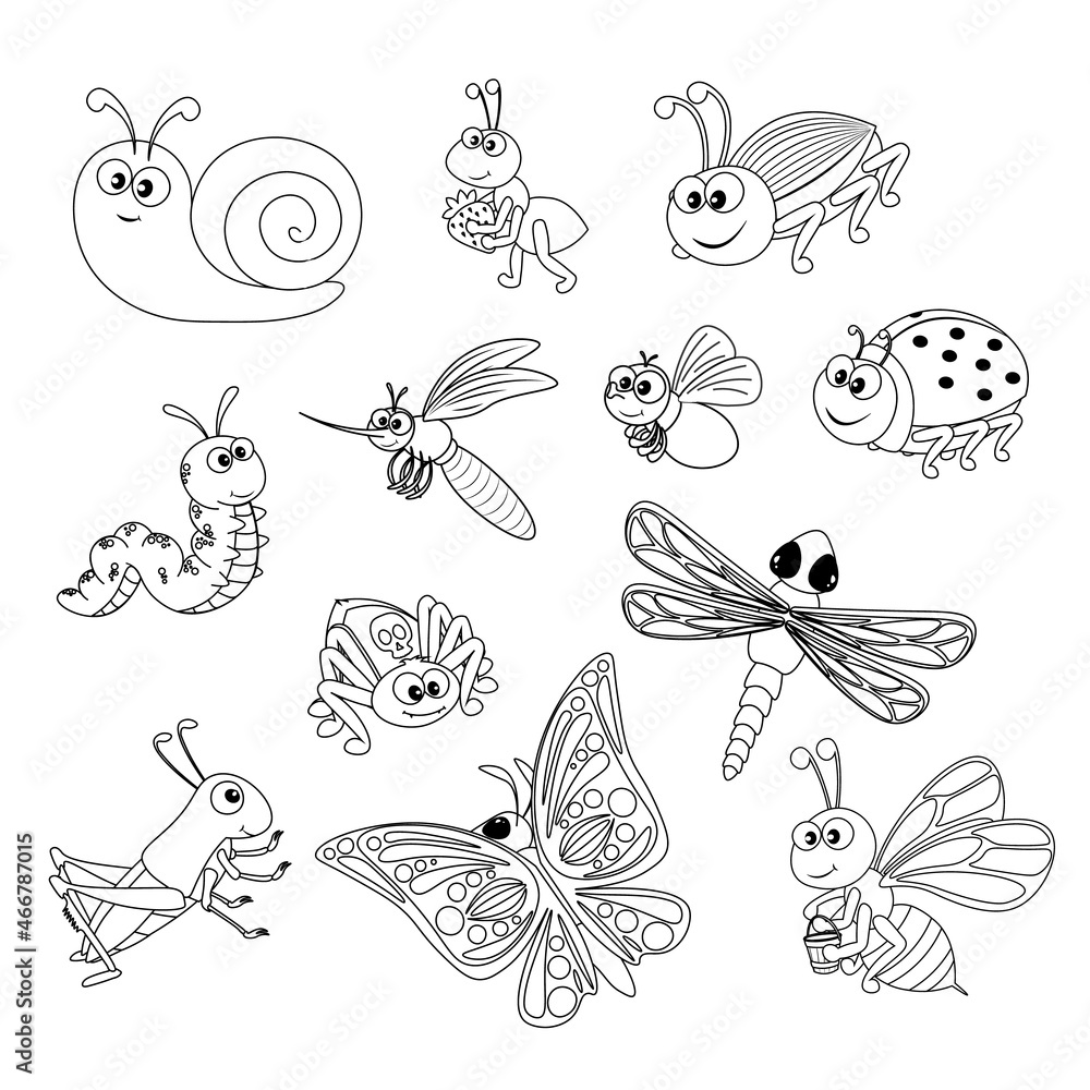 Set of contour cute insects bee grasshopper snail dragonfly fly ant mosquito butterfly caterpillar worm spider ladybug cockroach Set of contour cute insects bee grasshopper snail dragonfly fly ant mosquito butterfly caterpillar worm spider ladybug cockroach