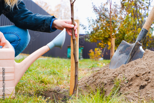 gardening activity people. Volunteers planting a tree. The girl plants fruit trees in the garden, hands with shovel digs the ground, nature, environment and ecology concept