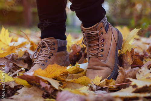 Leather brown sports shoes, among the fallen leaves in autumn. Warm unisex boots for cool weather, waterproof, close up