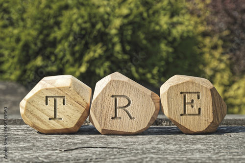 Letters TRE on wooden blocks. Tension and Trauma Releasing Exercises therapy treatment concept. photo