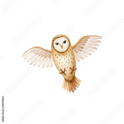 Watercolor flying barn owl. Stylized forest character. Hand drawn clipart.