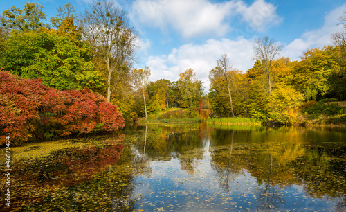 Fototapeta Naklejka Na Ścianę i Meble -  lake in autumn park