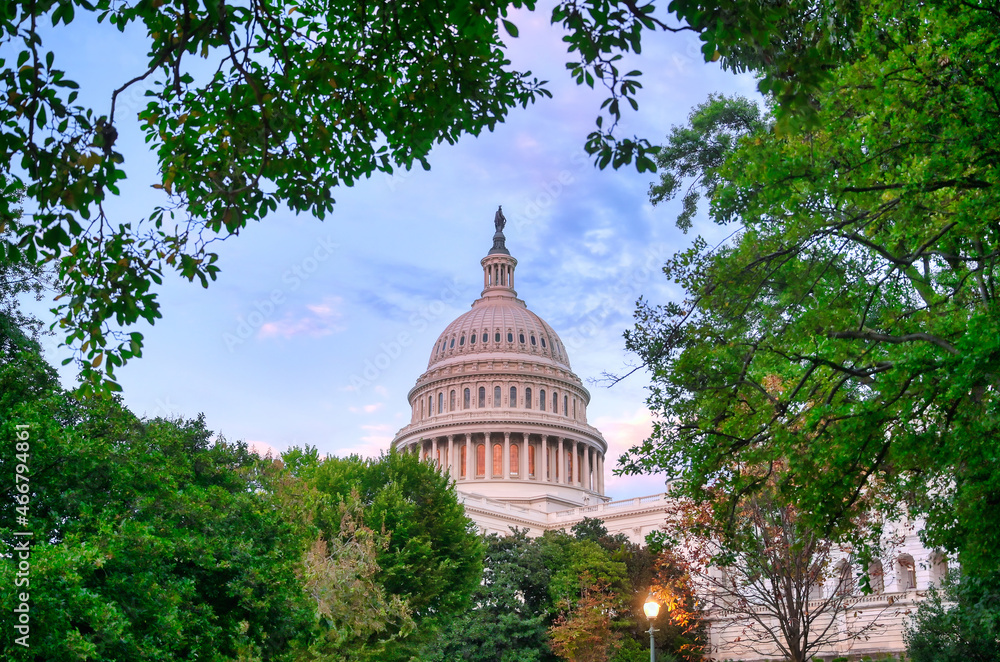 The United States Capitol in Washington, D.C.