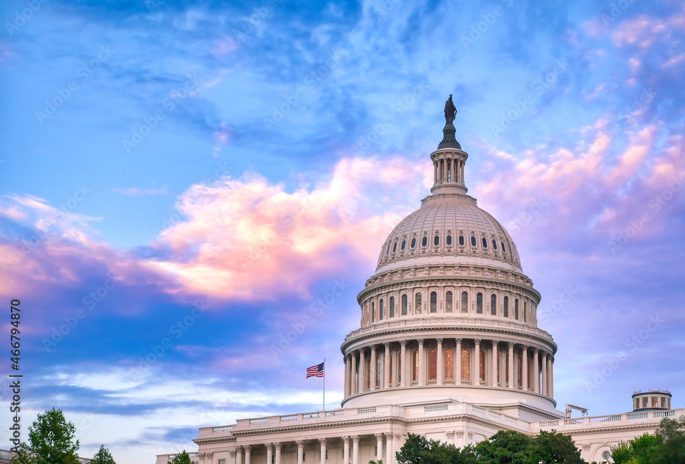 The United States Capitol in Washington, D.C.