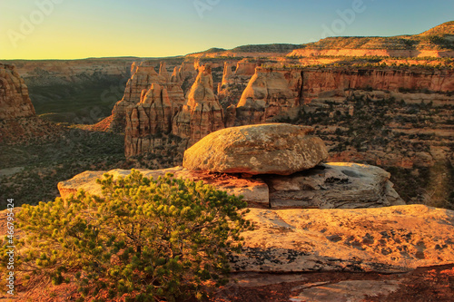 Colorado National Monument, Grand Junction, USA