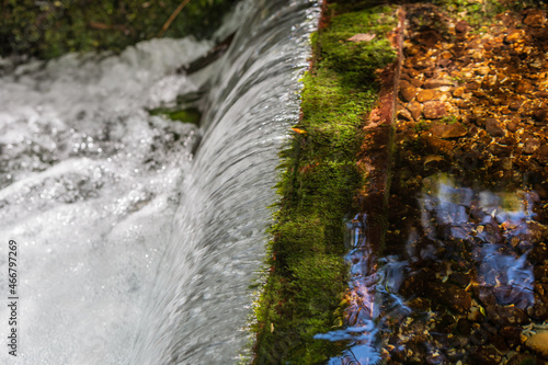 Clear water in the Lake Kaitawa Fairy Springs Track, New Zealand photo