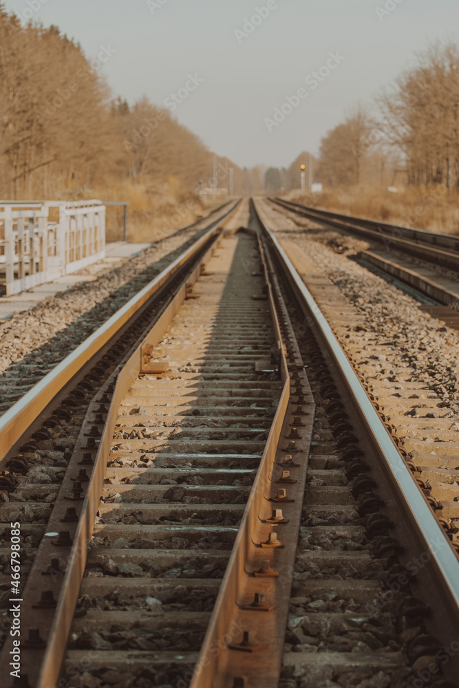 Fototapeta premium railway in the countryside
